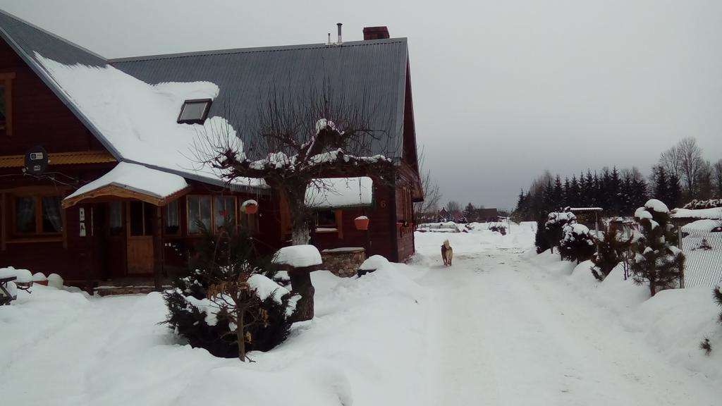 Olsik Apartment Bialowieza Bagian luar foto