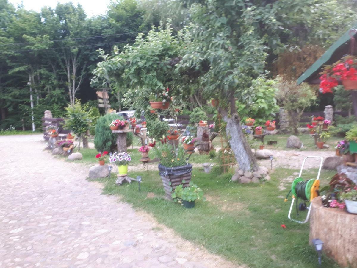 Olsik Apartment Bialowieza Bagian luar foto