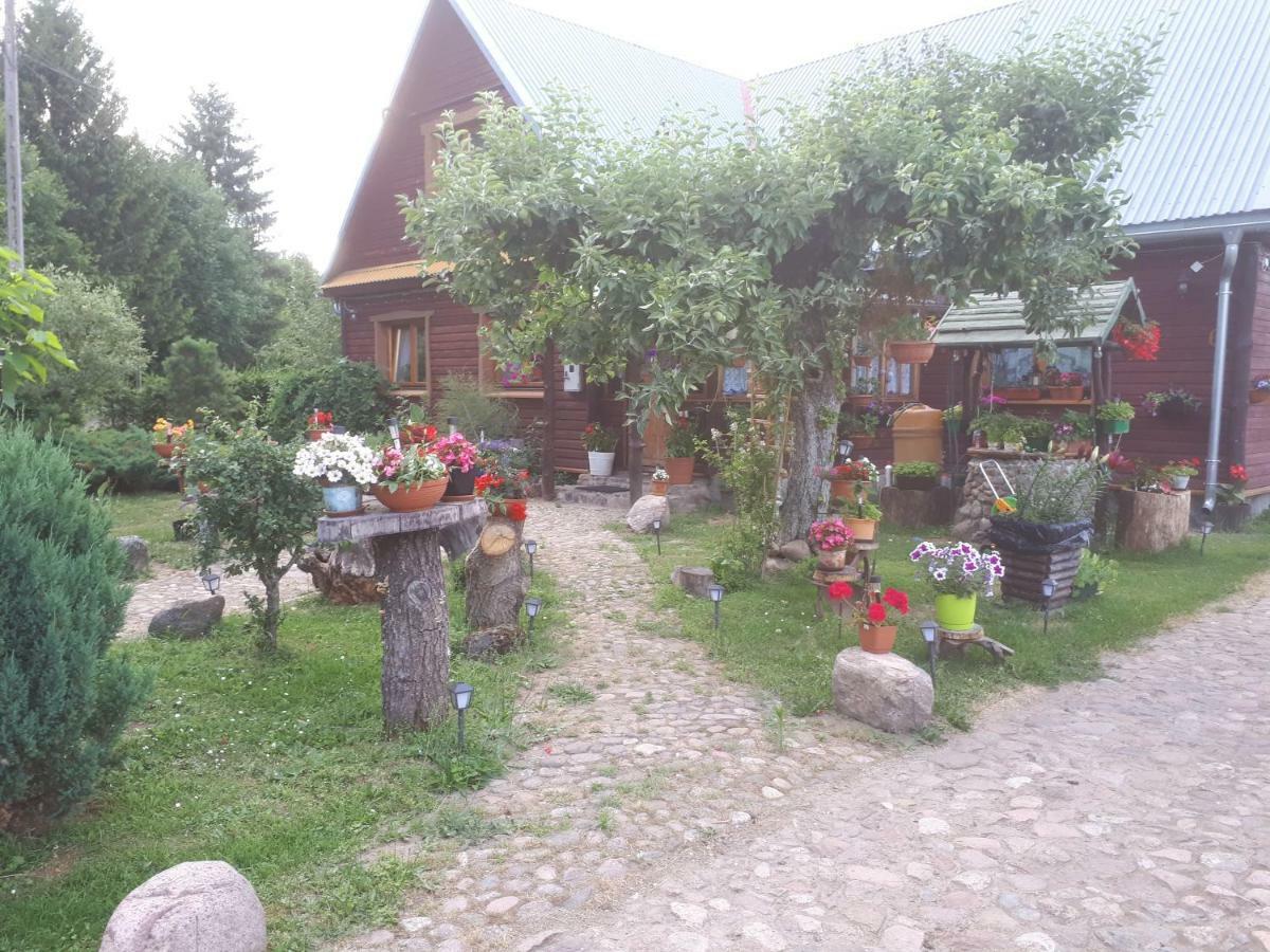 Olsik Apartment Bialowieza Bagian luar foto