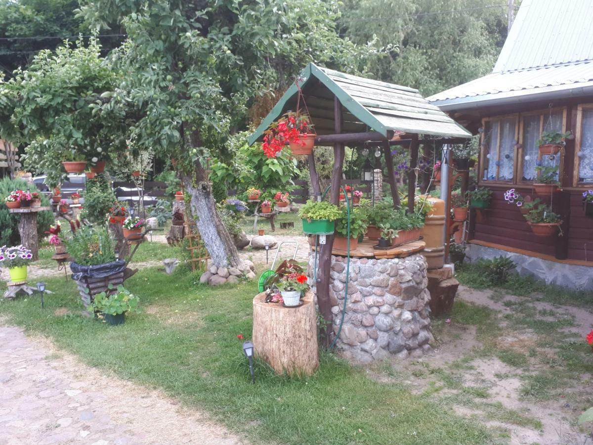 Olsik Apartment Bialowieza Bagian luar foto